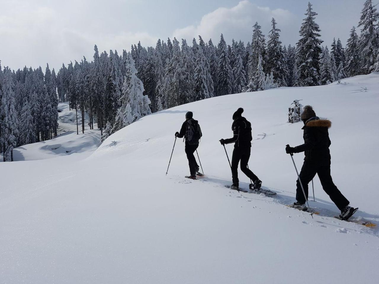 Hotel Dorfgasthof Schloesslstube Stuhlfelden Luaran gambar