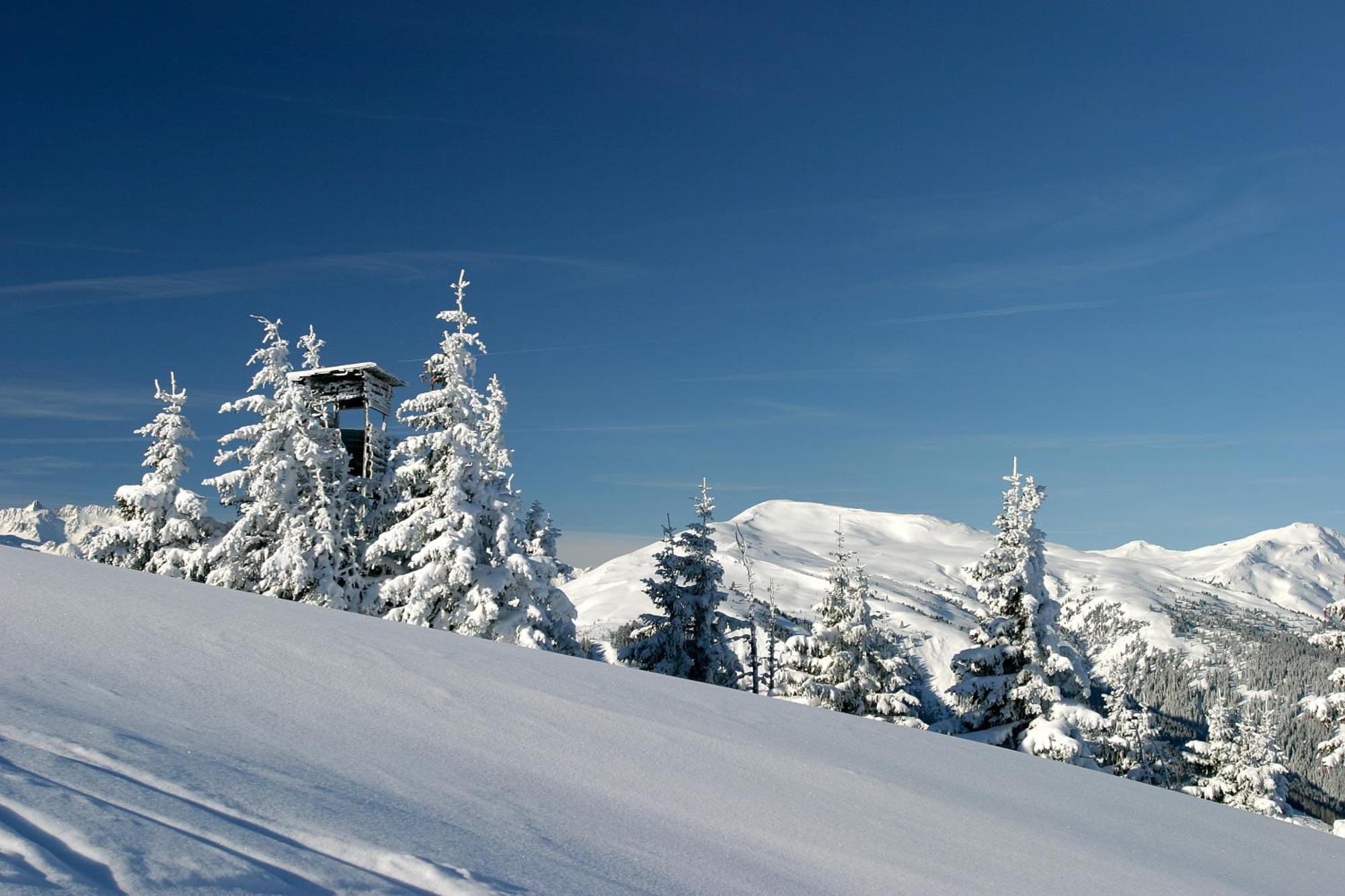 Hotel Dorfgasthof Schloesslstube Stuhlfelden Luaran gambar